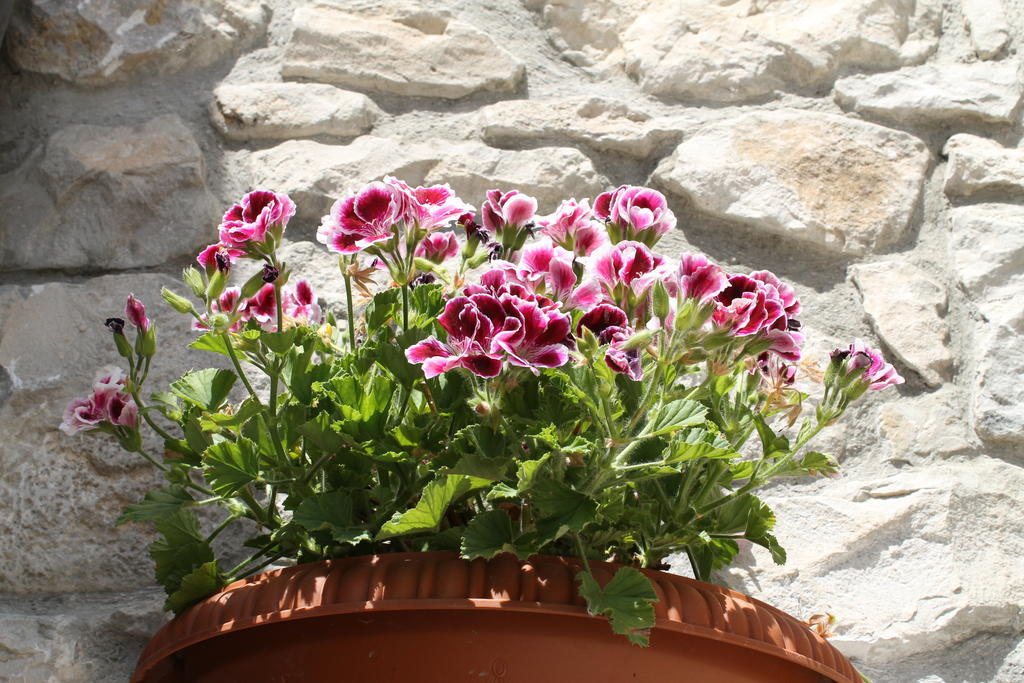 Casa Vacanze Caccamo Santa Lucia 外观 照片